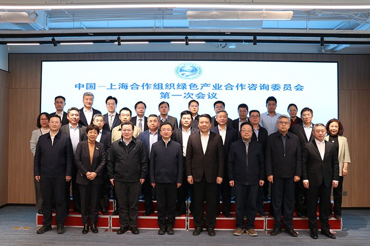 公开信息按发布时间滚动