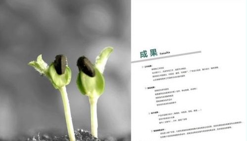 为全面落实《欧洲杯压球官网新手怎么玩